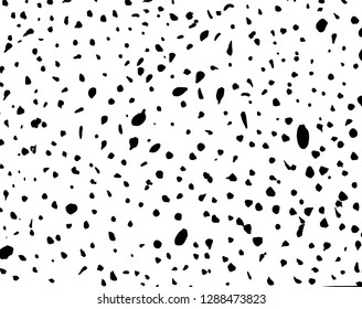 Brush grunge pattern. White and black vector.