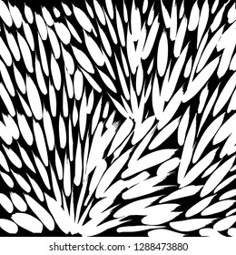 Brush grunge pattern. White and black vector.