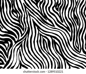 Brush grunge pattern. White and black vector.