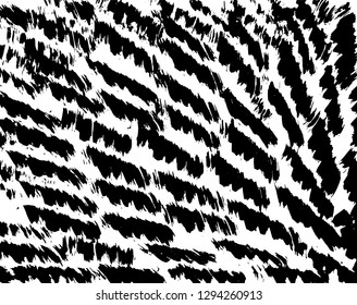 Brush grunge pattern. White and black vector.