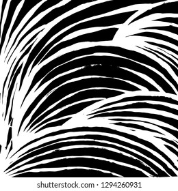 Brush grunge pattern. White and black vector.