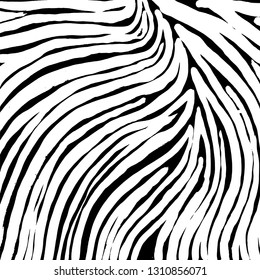 Brush grunge pattern. White and black vector.