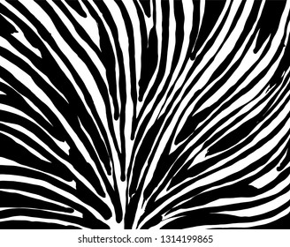 Brush grunge pattern. White and black vector.