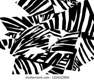 Brush grunge pattern. White and black vector.