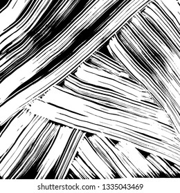 Brush grunge pattern. White and black vector.