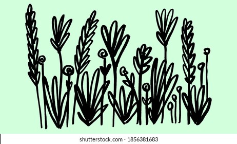brush handmade illustration black and white artwork doodle idea