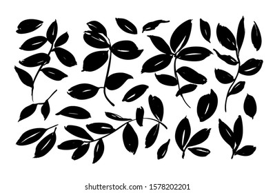 Brush leaf vector collection. Hand drawn eucalyptus foliage, herbs, tree branches. Set of black silhouettes leaves and branches. Vector elements isolated on white. Modern brush ink illustration