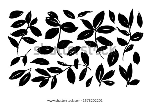ブラシリーフ のベクター画像コレクション 手描きのユーカリの葉 ハーブ 木の枝 黒いシルエットの葉と枝のセット 白い背景にベクター画像エレメント 現代の筆のイラスト のベクター画像素材 ロイヤリティフリー