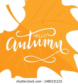 Brush lettering composition of Hello autumn with red leaf isolated on white background. Vector Illustration