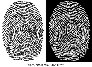 Brush lines based fingerprint illustration, in two versions