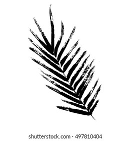 Brush painted palm leaf. Hand drawn ink botanical element.