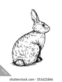 brush painting ink draw isolated rabbit illustration