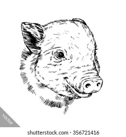 brush painting ink draw pig illustration