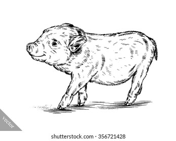 brush painting ink draw pig illustration