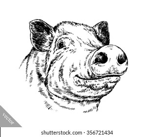 Brush Painting Ink Draw Pig Illustration