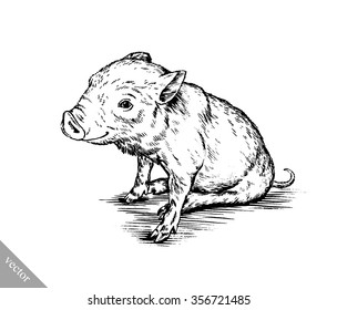 brush painting ink draw pig illustration