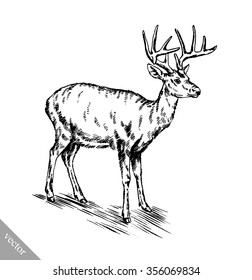 brush painting ink draw vector deer illustration