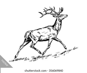 brush painting ink draw vector deer illustration