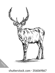 brush painting ink draw vector deer illustration