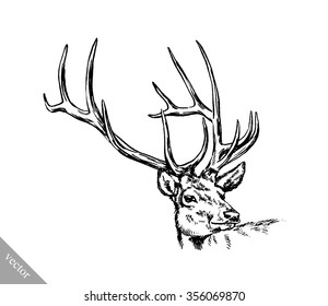 brush painting ink draw vector deer illustration