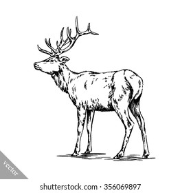 brush painting ink draw vector deer illustration
