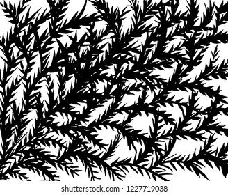 Brush pattern. Grunge background. Vector.