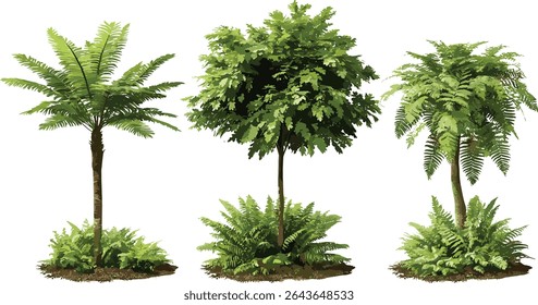 Brush pot tree Cyathea lepifera isolated cutout, Sphaeropteris lepifera tree vector illustration, tropical rainforest plant, fern leaves, exotic forest greenery, botanical nature design.