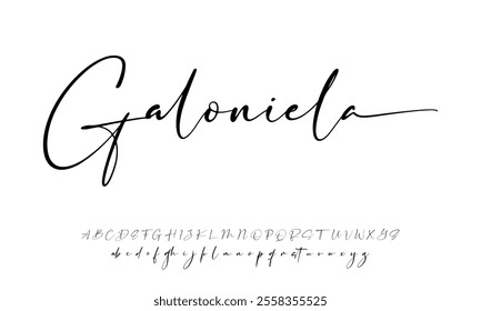 BRUSH Signature Font Calligraphy Logotype Script Brush Font Type Font lettering handwritten