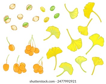 Pinselstrich Ginkgo-Blätter und Ginkgo-Muttern-Linien-Zeichnungs-Illustrations-Set