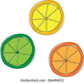 Brush stroke style illustration of citrus fruit slices