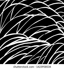 Brush texture pattern. Grunge vector.