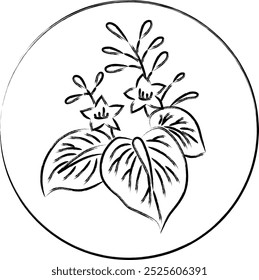 Cepillo de escritura circular hanafuda diciembre paulownia paulownia scum