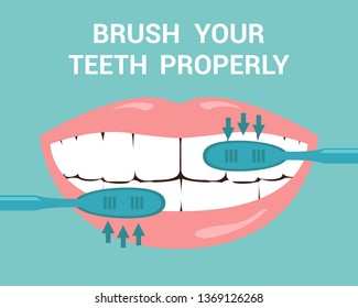 Brush your Teeth Properly Flat Vector Illustration. Dental Educational Banner with Typography. Mouth Hygiene Poster. Dentist Recommendations, Advice, Reminder. Oral Sanitation Tutorial, Instruction
