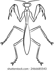 Icono simple de insecto dibujado con pincel