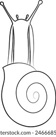 Brush-drawn insect single icon snail