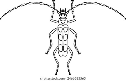 Brush-drawn insect single item icon Blue-winged longhorn beetle