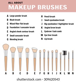 Brushes for makeup 