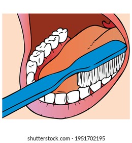 ilustración vectorial de dientes de lavado,
aislado en fondo blanco.vista superior