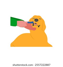 Brushing Teeth, Veterinary Flat Vector Illustration