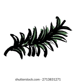 A brushstroke vector illustration of rosemary.