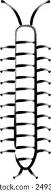 Brush-written insect single icon centipede