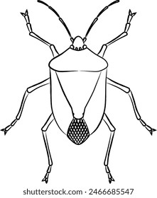 Brush-written insect single item icon stink bug