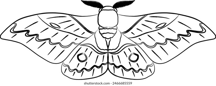 Pinsel-geschriebenes Insekt-Einzelelement-Symbol Motte