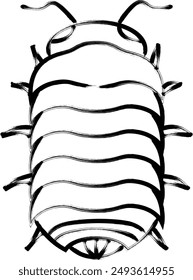 Brush-written insect single item icon Pillbug