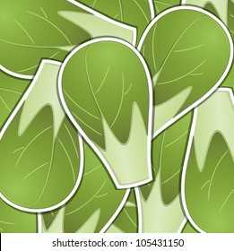 Brussel sprout sticker card in vector format.