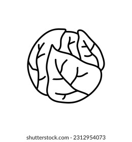 Brussel Sprouts doodle icon. Hand drawn black sketch. Vector Illustration