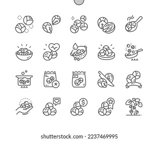 Brussel sprouts. Nature vegetable organic food nutrition. Cooking, cut and price. Menu for cafe. Pixel Perfect Vector Thin Line Icons. Simple Minimal Pictogram