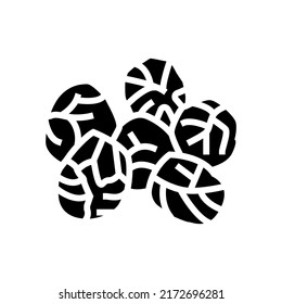 brussels cabbage glyph icon vector. brussels cabbage sign. isolated symbol illustration