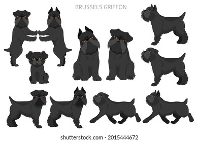 Brussels Griffon Clipart. Different Coat Colors And Poses Set.  Vector Illustration