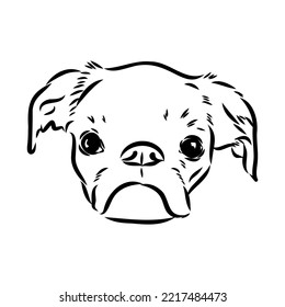 Brussels Griffon Dog, Pet Portrait, Brussels Griffon Dog Line Art, Pet Line Art, Pet Tattoo, Line Drawing, Dog Art, Minimalist